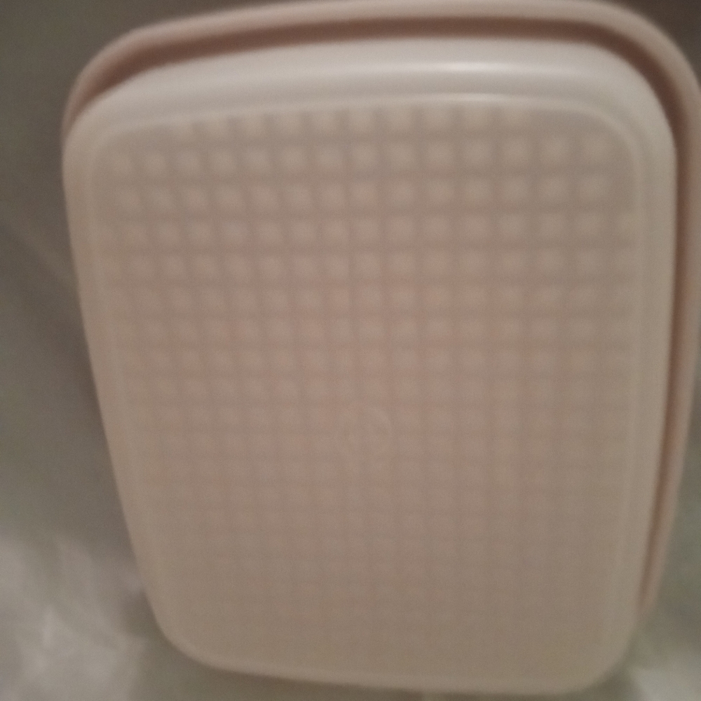 Tupperware Storage Red Container 10" By 8"